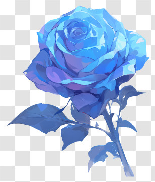 Rose Flower - Beautiful Blue Rose Transparent PNG