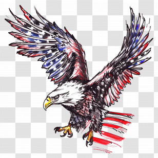 American Eagle Day - Bald Eagle With American Flag Illustration Transparent PNG