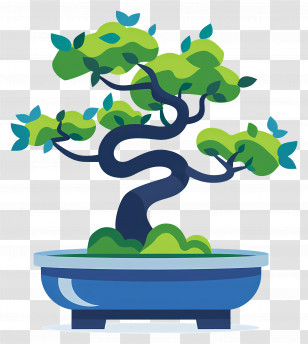 Bonsai Tree - Beautiful Bonsai Tree In Decorative Pot Transparent PNG