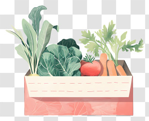 Vegetable Box - Watercolor Illustration Of A Box Of Vegetables Transparent PNG