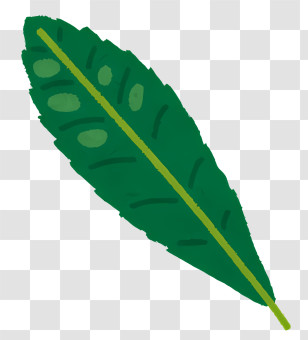 Health - Green Leaf Illustration With Natural Design Transparent PNG
