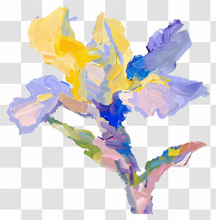 Oil Painting - Abstract Flower With Colorful Petals Transparent PNG