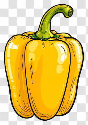 Yellow Bell Pepper - Yellow Bell Pepper Illustration Transparent PNG