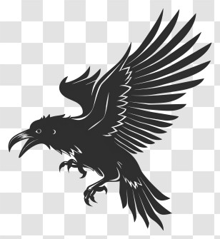 Black Raven - Raven Silhouette In Flight Transparent PNG