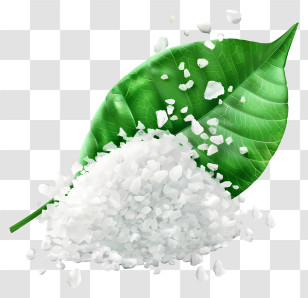 Salt - Salt On Green Leaf Transparent PNG