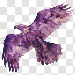 Watercolor Eagle - Purple Watercolor Eagle Illustration Transparent PNG