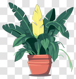 Banana Plant - Potted Plant With Yellow Leaf Illustration Transparent PNG