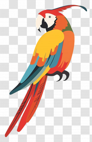 Macaw - Colorful Parrot Illustration With Vibrant Feathers Transparent PNG