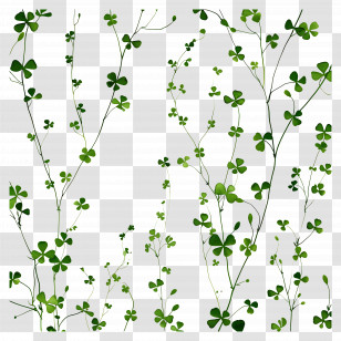 Green Background - Green Clover Plants Transparent PNG