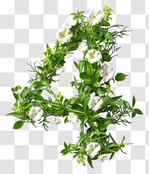 Number 4 Flowers - Floral Number 4 Decoration Transparent PNG