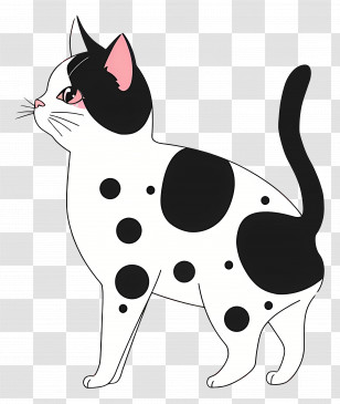Cute Cat - Black And White Spotted Cat Illustration Transparent PNG