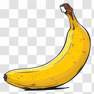 Banana - Bright Illustration Of A Ripe Banana Transparent PNG
