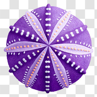 Purple Sea Urchin Shell - Purple Decorative Sea Urchin Shell Transparent PNG