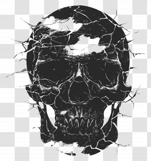 Skull - Cracked Skull Illustration Transparent PNG