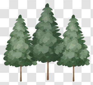 Pine Trees - Pine Trees Illustration Of A Forest Scene Transparent PNG