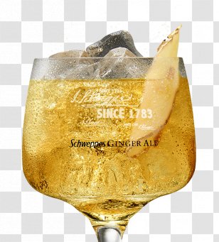 Champagne Glass Png Images, Transparent Champagne Glass Images