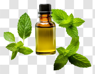 Essential Oil - Mint Leaves With Aromatic Essential Oil Bottle Transparent PNG