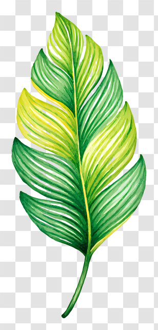 Jungle Leaf - Green Leaf With Natural Patterns Transparent PNG