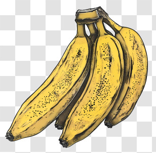 Banana Day - Yellow Banana Bunch Illustration Transparent PNG