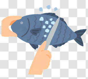 Cooking - Illustration Of Fish Scaling Process Transparent PNG
