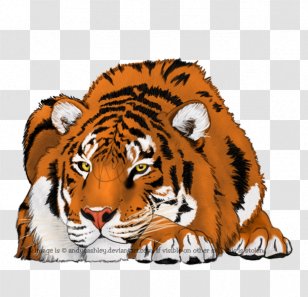 Tiger Bengal Cat Whiskers DeviantArt Lynx Transparent PNG