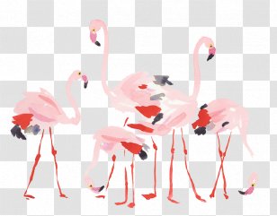 Flamingos Bird Crane Icon Flamingo Transparent Png - bird roblox crane pink flamingo png download 24003200