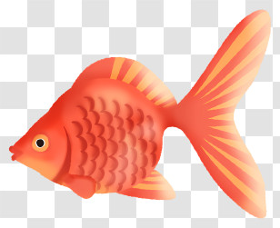 Clipart - Bright Orange Goldfish Illustration Transparent PNG