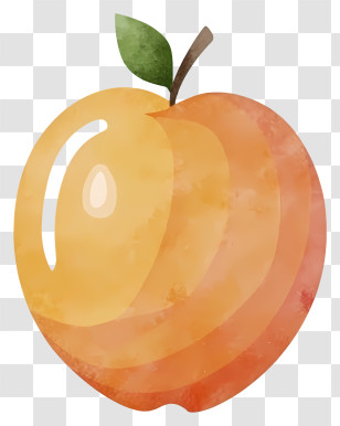 Ripe Orange - Watercolor Peach Illustration Transparent PNG