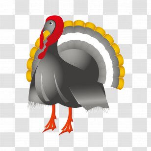 Turkey Wedding Invitation Thanksgiving Clip Art - Ducks Geese And Swans Transparent PNG