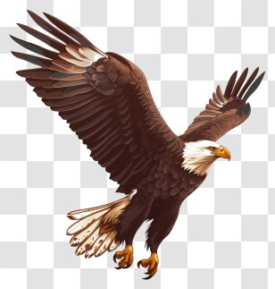 Eagle - A Majestic Bald Eagle In Flight Transparent PNG