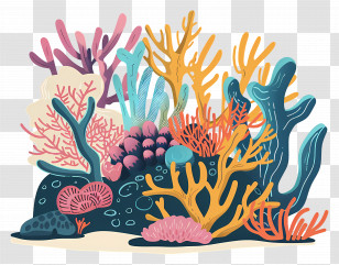 Coral Reefs - Colorful Coral Reef Illustration Transparent PNG