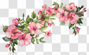 Tropical Flower Background - Pink Floral Watercolor Arrangement Transparent PNG
