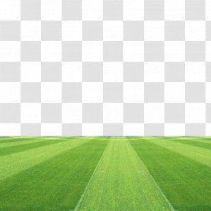 Football Field PNG Images, Transparent Football Field Images