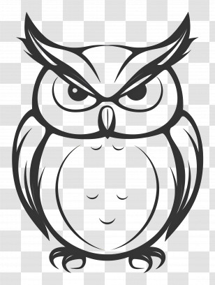 Owl - Black And White Owl Illustration Transparent PNG