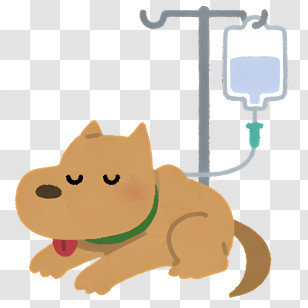 Icon - Dog Receiving IV Treatment Illustration Transparent PNG