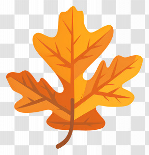Single Leaf - Vibrant Autumn Leaf Illustration Transparent PNG