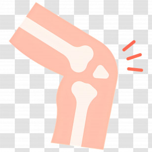 Knee Pain - Knee Joint Illustration For Health Education Transparent PNG