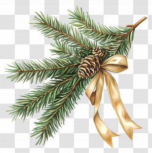 Christmas Tree Branch - Pine Branch With Red Ribbon Transparent PNG