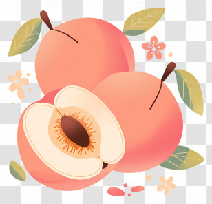 Peach - Peach Fruits Illustration In Soft Colors Transparent PNG