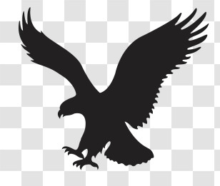 Eagles Logo - Silhouette Of Majestic Flying Eagle Transparent PNG