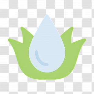 Aloe Vera - Aloe Vera And Water Drop Icon Transparent PNG