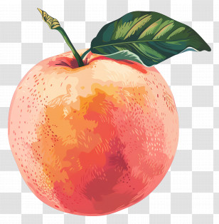 Cartoon Peach - Realistic Peach Fruit Illustration Transparent PNG