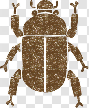 Icon - Brown Scarab Beetle Drawing Transparent PNG