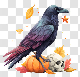 Halloween Raven Pumpkin - Crow On Pumpkin With Skull Transparent PNG