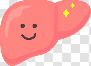 Liver - Happy Cartoon Liver Transparent PNG