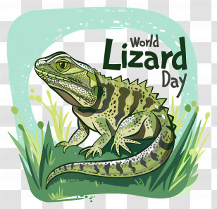 World Lizard Day - Green Lizard For World Lizard Day Transparent PNG