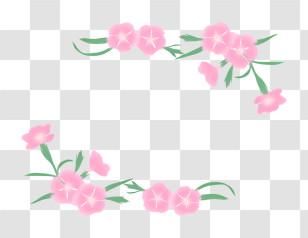Icon - Soft Pink Floral Wreath Design Frame Transparent PNG