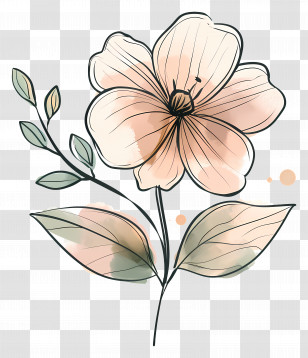 Flowers - Soft Pastel Botanical Flower Sketch Transparent PNG