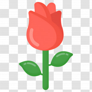 Red Flower - Red Rose Icon Illustration Transparent PNG