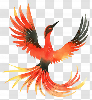 Phoenix - Red Phoenix With Outstretched Wings Transparent PNG